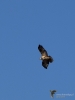 Filename=304_fotowilga~41.JPG
Filesize=179KB
Dimensions=525x700
Date added=Jun 26, 2019 304_fotowilga~41.JPG
