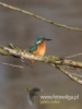 Filename=306_fotowilga~35.JPG
Filesize=55KB
Dimensions=360x480
Date added=Nov 03, 2017 306_fotowilga~35.JPG