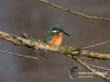 Filename=307_fotowilga~26.JPG
Filesize=84KB
Dimensions=640x480
Date added=Dec 17, 2016 307_fotowilga~26.JPG