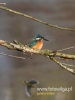 Filename=308_fotowilga~31.JPG
Filesize=50KB
Dimensions=360x480
Date added=Nov 03, 2017 308_fotowilga~31.JPG