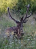 Filename=308_fotowilga~38.JPG
Filesize=294KB
Dimensions=525x700
Date added=Jul 22, 2018 308_fotowilga~38.JPG