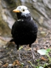 Filename=308_fotowilga~40.JPG
Filesize=274KB
Dimensions=525x700
Date added=Mar 06, 2019 308_fotowilga~40.JPG