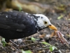 Filename=309_fotowilga~43.JPG
Filesize=286KB
Dimensions=700x525
Date added=Mar 06, 2019 309_fotowilga~43.JPG