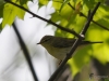 Filename=309_fotowilga~50.JPG
Filesize=207KB
Dimensions=700x525
Date added=Apr 28, 2020 309_fotowilga~50.JPG