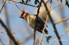 Filename=309_fotowilga~6.JPG
Filesize=91KB
Dimensions=720x480
Date added=Mar 25, 2013 309_fotowilga~6.JPG
