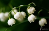 Filename=311_fotowilga~32.JPG
Filesize=160KB
Dimensions=700x447
Date added=Feb 15, 2018 311_fotowilga~32.JPG