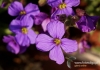 Filename=316_fotowilga~6.JPG
Filesize=110KB
Dimensions=720x508
Date added=Apr 20, 2014 316_fotowilga~6.JPG