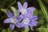 Filename=317_fotowilga~9.JPG
Filesize=101KB
Dimensions=720x493
Date added=May 17, 2014 317_fotowilga~9.JPG