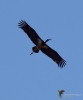 Filename=322_fotowilga~35.JPG
Filesize=173KB
Dimensions=583x700
Date added=Feb 11, 2018 322_fotowilga~35.JPG