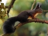 Filename=322_fotowilga~38.JPG
Filesize=260KB
Dimensions=700x525
Date added=May 02, 2018 322_fotowilga~38.JPG