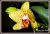 Filename=322_fotowilga~7.JPG
Filesize=122KB
Dimensions=720x492
Date added=Feb 26, 2014 322_fotowilga~7.JPG