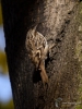 Filename=324_fotowilga~34.JPG
Filesize=306KB
Dimensions=525x700
Date added=Feb 13, 2018 324_fotowilga~34.JPG
