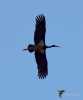 Filename=324_fotowilga~37.JPG
Filesize=203KB
Dimensions=583x700
Date added=Mar 14, 2019 324_fotowilga~37.JPG
