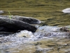 Filename=324_fotowilga~42.JPG
Filesize=331KB
Dimensions=700x525
Date added=Dec 28, 2019 324_fotowilga~42.JPG