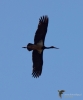 Filename=325_fotowilga~33.JPG
Filesize=215KB
Dimensions=583x700
Date added=Jun 24, 2018 325_fotowilga~33.JPG