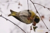 Filename=326_fotowilga~0.JPG
Filesize=85KB
Dimensions=720x480
Date added=Mar 20, 2013 326_fotowilga~0.JPG