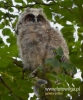 Filename=327_fotowilga~19.JPG
Filesize=73KB
Dimensions=400x480
Date added=Jul 12, 2016 327_fotowilga~19.JPG