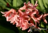Filename=327_fotowilga~25.JPG
Filesize=95KB
Dimensions=640x438
Date added=Apr 02, 2017 327_fotowilga~25.JPG