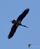 Filename=327_fotowilga~35.JPG
Filesize=206KB
Dimensions=583x700
Date added=Mar 29, 2019 327_fotowilga~35.JPG