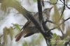 Filename=327_fotowilga~5.JPG
Filesize=254KB
Dimensions=720x480
Date added=Jul 26, 2014 327_fotowilga~5.JPG