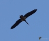 Filename=328_fotowilga~29.JPG
Filesize=181KB
Dimensions=700x583
Date added=Feb 11, 2018 328_fotowilga~29.JPG
