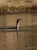328_fotowilga~33.JPG