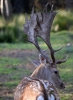 328_fotowilga~38.JPG