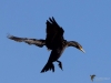 Filename=329_fotowilga~38.JPG
Filesize=204KB
Dimensions=700x525
Date added=Mar 20, 2019 329_fotowilga~38.JPG