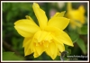 Filename=329_fotowilga~6.JPG
Filesize=102KB
Dimensions=720x504
Date added=May 17, 2014 329_fotowilga~6.JPG