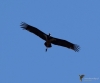 Filename=330_fotowilga~33.JPG
Filesize=190KB
Dimensions=700x583
Date added=Jun 25, 2018 330_fotowilga~33.JPG