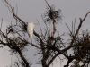 Filename=330_fotowilga~38.JPG
Filesize=293KB
Dimensions=700x525
Date added=Mar 13, 2019 330_fotowilga~38.JPG