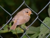 Filename=330_fotowilga~41.JPG
Filesize=300KB
Dimensions=700x525
Date added=Dec 28, 2019 330_fotowilga~41.JPG