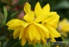 Filename=331_fotowilga~6.JPG
Filesize=98KB
Dimensions=720x493
Date added=May 21, 2014 331_fotowilga~6.JPG