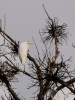 Filename=332_fotowilga~35.JPG
Filesize=268KB
Dimensions=525x700
Date added=Feb 21, 2018 332_fotowilga~35.JPG
