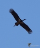 Filename=333_fotowilga~42.JPG
Filesize=186KB
Dimensions=583x700
Date added=Mar 14, 2019 333_fotowilga~42.JPG