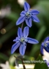 Filename=334_fotowilga~23.JPG
Filesize=63KB
Dimensions=343x480
Date added=Apr 10, 2017 334_fotowilga~23.JPG