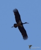 Filename=334_fotowilga~38.JPG
Filesize=184KB
Dimensions=583x700
Date added=Apr 12, 2019 334_fotowilga~38.JPG