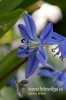 Filename=335_fotowilga~25.JPG
Filesize=59KB
Dimensions=320x480
Date added=Apr 10, 2017 335_fotowilga~25.JPG