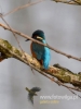 Filename=335_fotowilga~33.JPG
Filesize=51KB
Dimensions=360x480
Date added=Nov 02, 2017 335_fotowilga~33.JPG