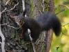 Filename=335_fotowilga~37.JPG
Filesize=335KB
Dimensions=700x525
Date added=Apr 02, 2018 335_fotowilga~37.JPG