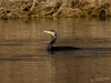 Filename=335_fotowilga~40.JPG
Filesize=298KB
Dimensions=700x525
Date added=May 26, 2019 335_fotowilga~40.JPG