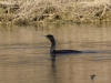 Filename=336_fotowilga~31.JPG
Filesize=296KB
Dimensions=700x525
Date added=Jan 06, 2019 336_fotowilga~31.JPG