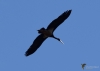 Filename=338_fotowilga~36.JPG
Filesize=145KB
Dimensions=700x500
Date added=Apr 18, 2019 338_fotowilga~36.JPG