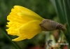 Filename=339_fotowilga~4.JPG
Filesize=260KB
Dimensions=720x508
Date added=Aug 14, 2014 339_fotowilga~4.JPG