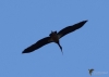 Filename=340_fotowilga~34.JPG
Filesize=145KB
Dimensions=700x500
Date added=Apr 18, 2019 340_fotowilga~34.JPG