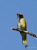 Filename=341_fotowilga~30.JPG
Filesize=224KB
Dimensions=525x700
Date added=Jun 06, 2018 341_fotowilga~30.JPG