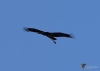 Filename=342_fotowilga~1.JPG
Filesize=159KB
Dimensions=700x500
Date added=Mar 29, 2019 342_fotowilga~1.JPG