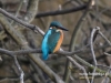 344_fotowilga~24.JPG