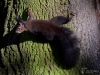 Filename=344_fotowilga~29.JPG
Filesize=382KB
Dimensions=700x525
Date added=Feb 19, 2018 344_fotowilga~29.JPG