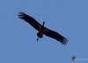 Filename=344_fotowilga~3.JPG
Filesize=150KB
Dimensions=700x499
Date added=Apr 21, 2019 344_fotowilga~3.JPG